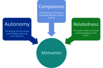 Indre motivation er essentiel for det vi gerne vil og for vores performance og velvære